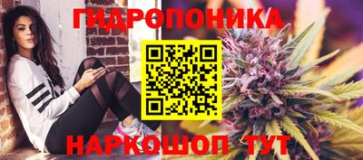 Альфа ПВП Гусев